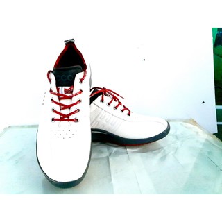 Giày golf ecco của nam - Giày Golf Nam