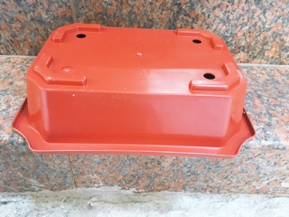 Chậu Ang trồng cây