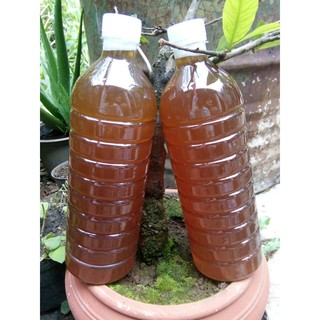 Mật Ong Nguyên Chất Hoa Cà Phê