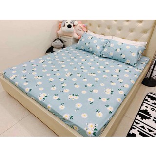 Bộ ga gối cotton poly