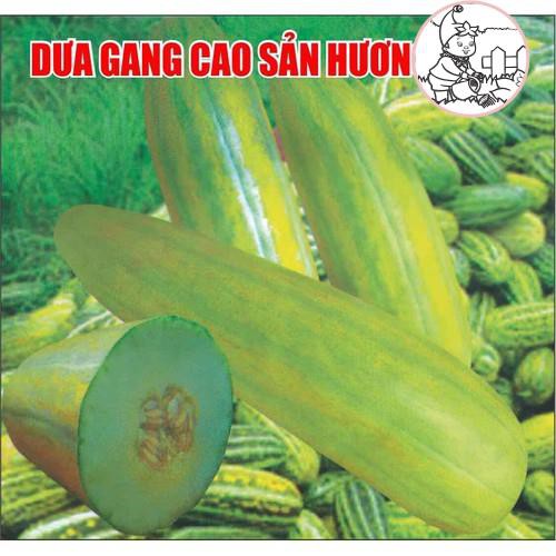 HẠT DƯA GANG TRÁI DÀI - GÓI 5 GRAM