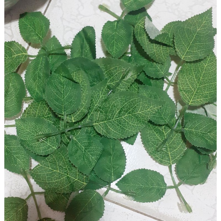 10 Lá hoa hồng gân , lá hoa hồng giả