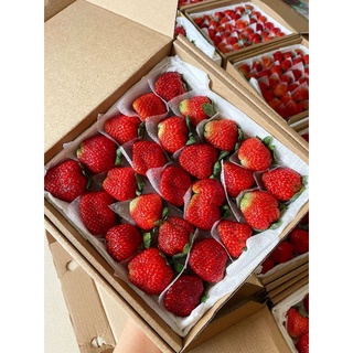 Dâu Mỹ size 25 trái chắc trái giòn chua ngọt