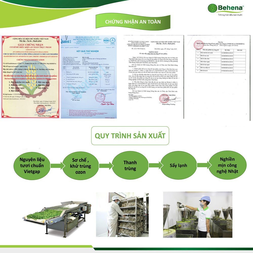 BỘT TRÀ XANH NGUYÊN CHẤT BEHENA - LIÊN KẾT XANH