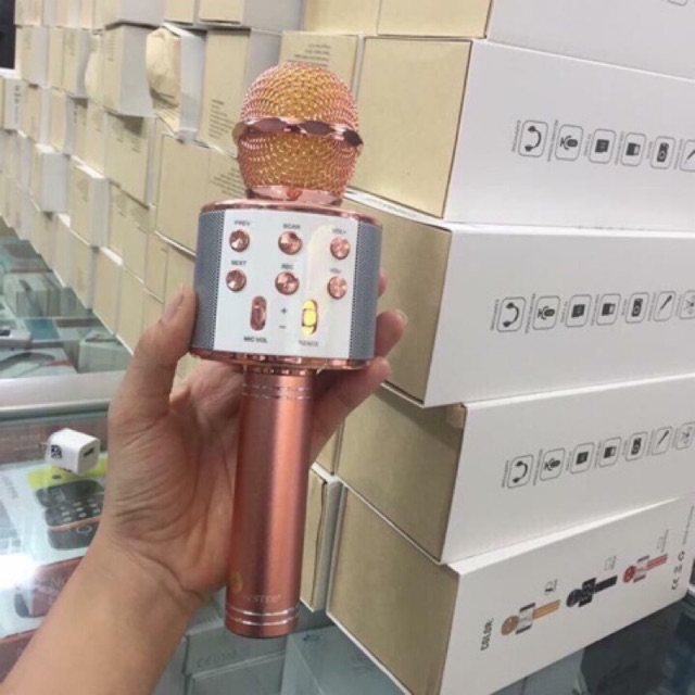 Mic hát WS-858