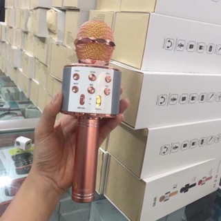 Mic hát ws-858