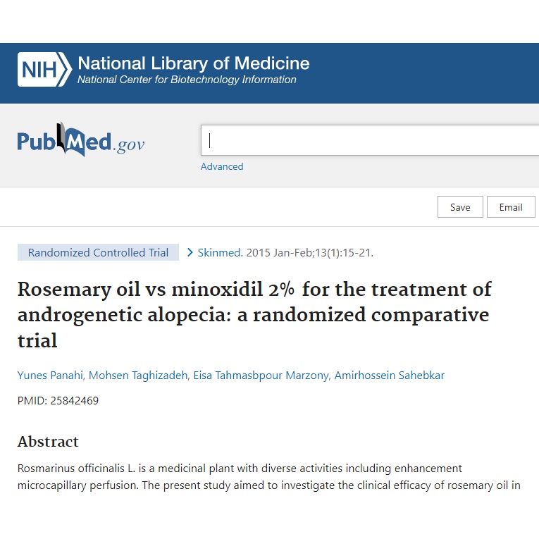 Tinh dầu hương thảo Rosemary Essential Oil, ngăn rụng và thúc đẩy mọc tóc tương đương minoxidil 2%