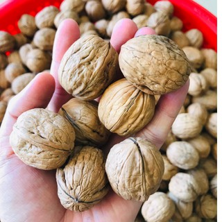 500g Quả Óc Chó Mỹ Nhập Khẩu
