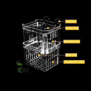 Lồng Đẻ Cho Cá Thủy Sinh - Cá Cảnh