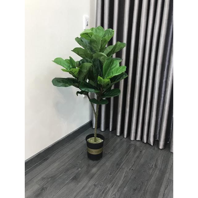 Combo Cây bàng Singapore gỉa cao 1m, có 3 nhánh - Kèm Chậu Nhựa 15cm. Cây cảnh giả trang trí nhà cửa, decor