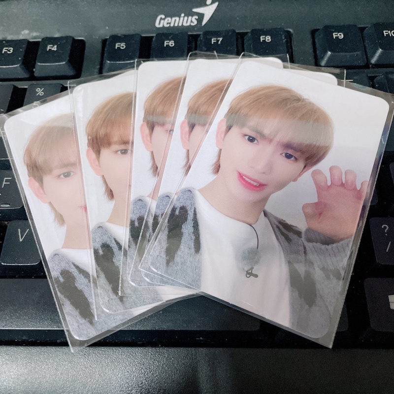 Thẻ ảnh Tempest Bandina 1.0