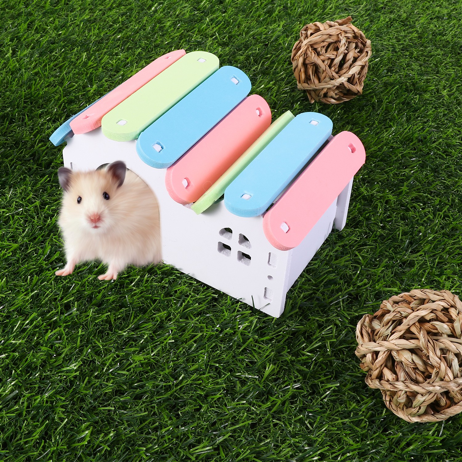 Nhà gỗ / cầu / bập bênh / bóng cổ cho hamster