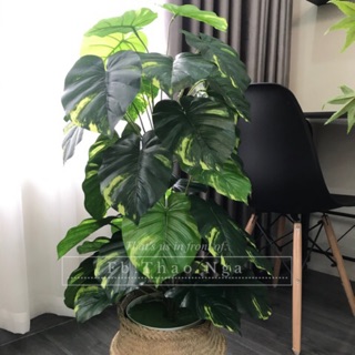 Cây trầu bà giả cao 1m