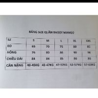 Quần Baggy nữ công sở