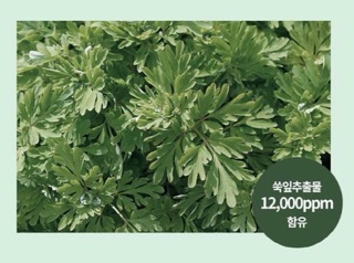 Kem dưỡng ẩm thảo mộc 𝗙𝗿𝗮𝗶𝗷𝗼𝘂𝗿