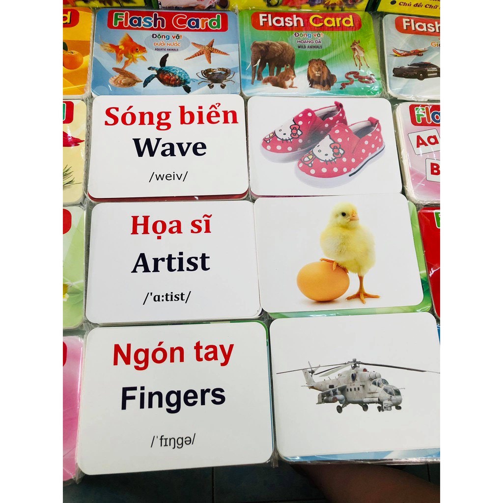 Thẻ học thông minh kích thước lớn 12x16cm tùy chọn - thẻ học in hai mặt Ivory Flashcard TGXQ Glenn doman chuẩn