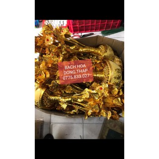 CÂY CÀNH VÀNG LÁ NGỌC