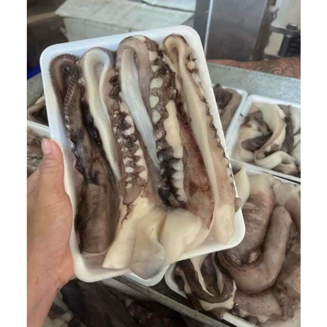 🐙RÂU BẠCH TUỘC ĐẠI DƯƠNG 500g hàng Đủ ký.  GIAO NGAY 🚛