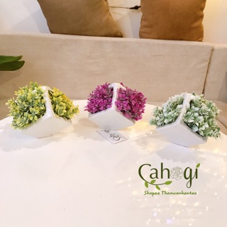 Hoa Giả - Chậu Hoa Sữa Rubic Cắm Sẵn Lọ Hoa Và Hoa Trang Trí
