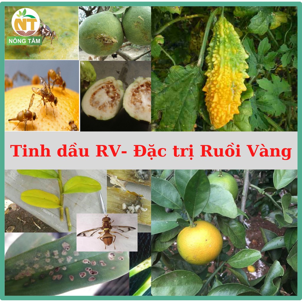Chế phẩm sinh học đặc trị ruồi vàng, bọ trĩ, bọ xít muỗi, rầy xanh trên rau màu, hoa cảnh, cây ăn quả, chai 250ml