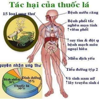 Nước súc miệng cai thuốc No smoking