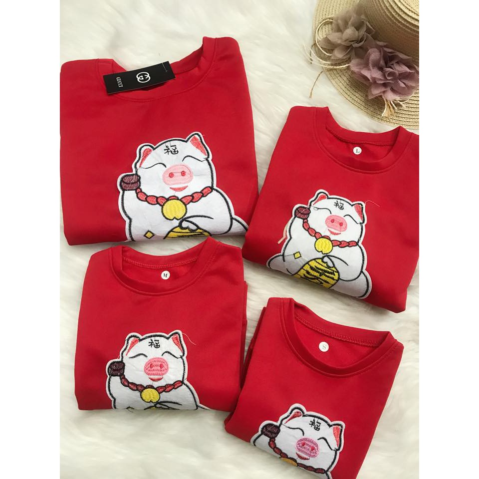 áo nỉ heo thần tài | BigBuy360 - bigbuy360.vn