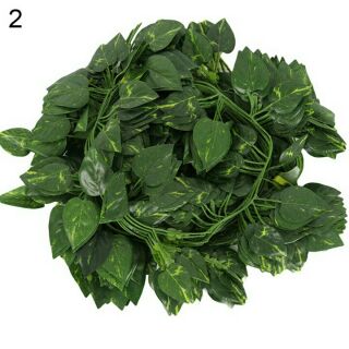 Dây leo trang trí túi 10 dây