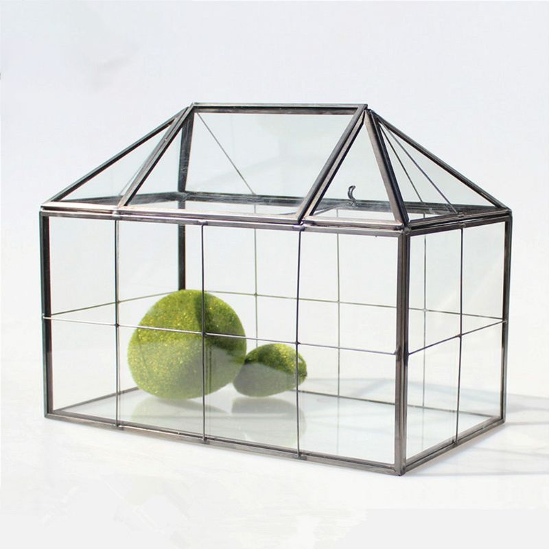 Hộp kính trong suốt hình học dùng trồng cây trang sức tiện dụng