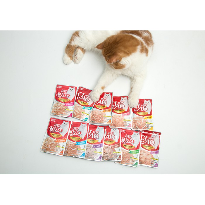 [Thanh lý} Combo 5 gói Pate mèo CIAO gói 60g (Date 10/2023) (Giao vị ngẫu nhiên)