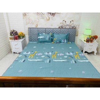 Bộ ga gối chun trần 3 món 2mx2m2