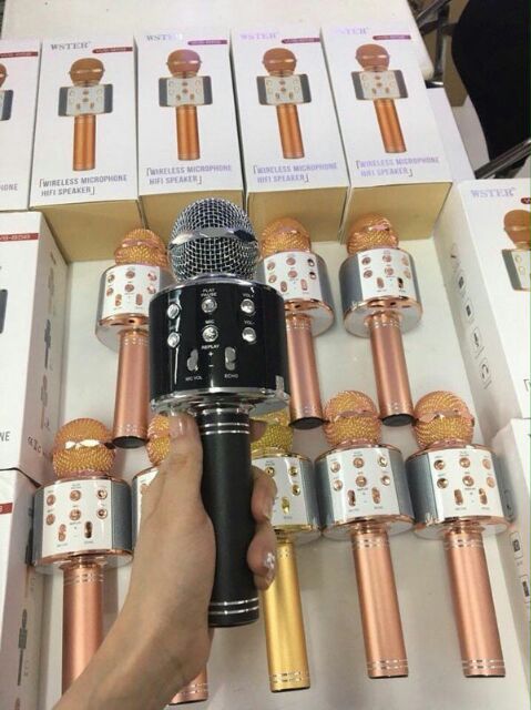 Mic karaoke WS858