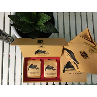 Cà phê Chồn Arabica - G8