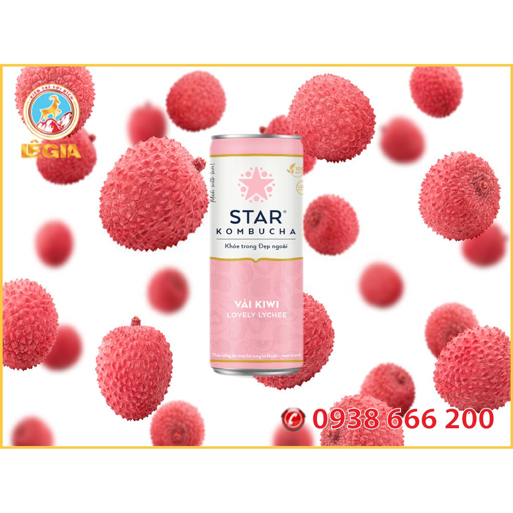 Nước Trái cây STAR KOMBUCHA Vị Vải Kiwi 250ML