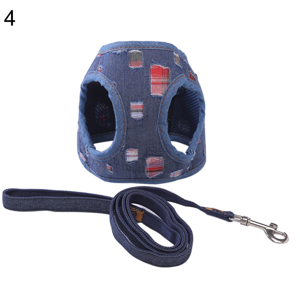 Vòng Cổ Và Dây Dắt Thú Cưng Đi Dạo Đáng Yêu