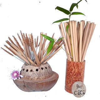Bộ 10 ống hút tre uống nước ép sinh tốt | YESCOCO