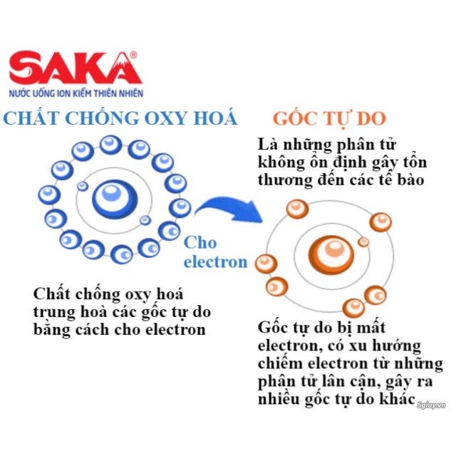 Nước uống ion kiềm SAKA nhật | BigBuy360 - bigbuy360.vn