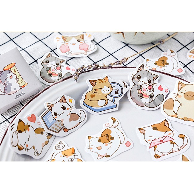 Hộp 45 miếng sticker mẫu những bé mèo con đáng yêu