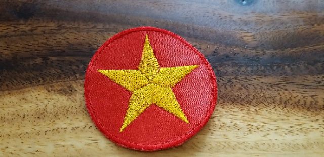 Thêu logo vi tính - Thêu phù hiệu học sinh theo yêu cầu