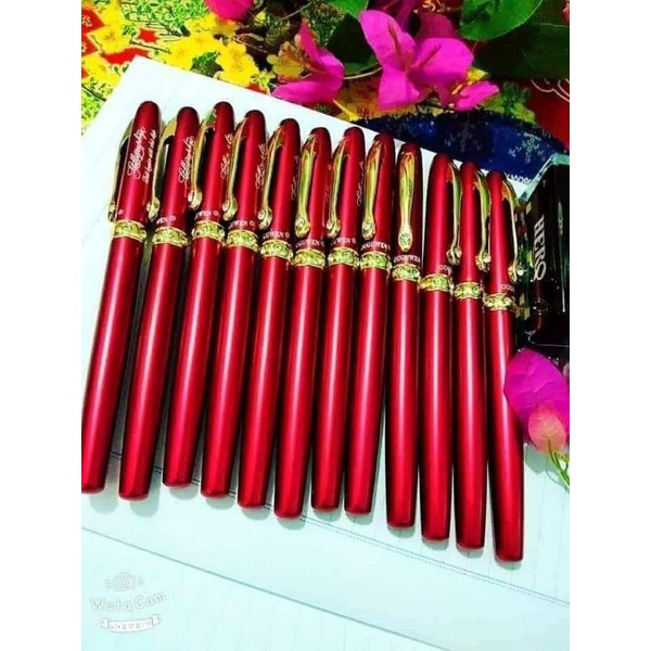 Bút CALIGRAPHY TN862