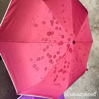Ô GẶP NƯỚC NỞ HOA.