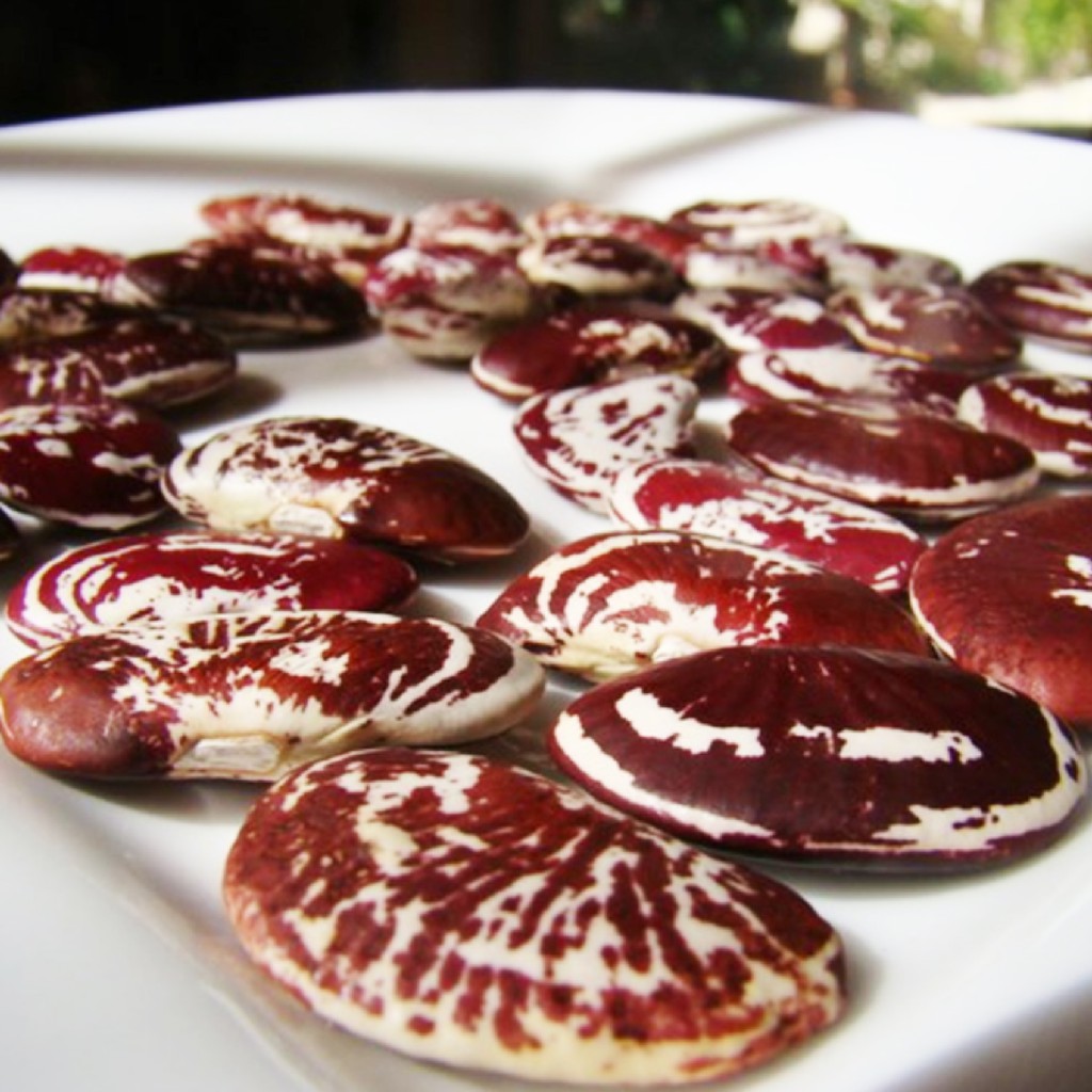 ĐẬU NGỰ (ĐỖ NGỰ) - BÁN LẺ