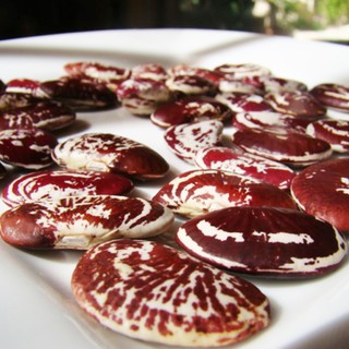 ĐẬU NGỰ (ĐỖ NGỰ) - BÁN LẺ