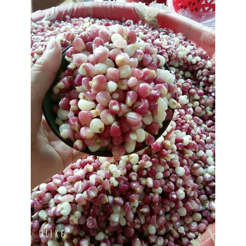 Ngô nếp tím khô. ngô tím khô 500g