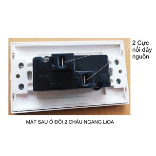 Ổ ĐÔI 2 CHẤU LiOA