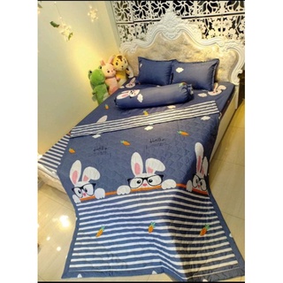 Bộ chăn ga 5 món cotton poly