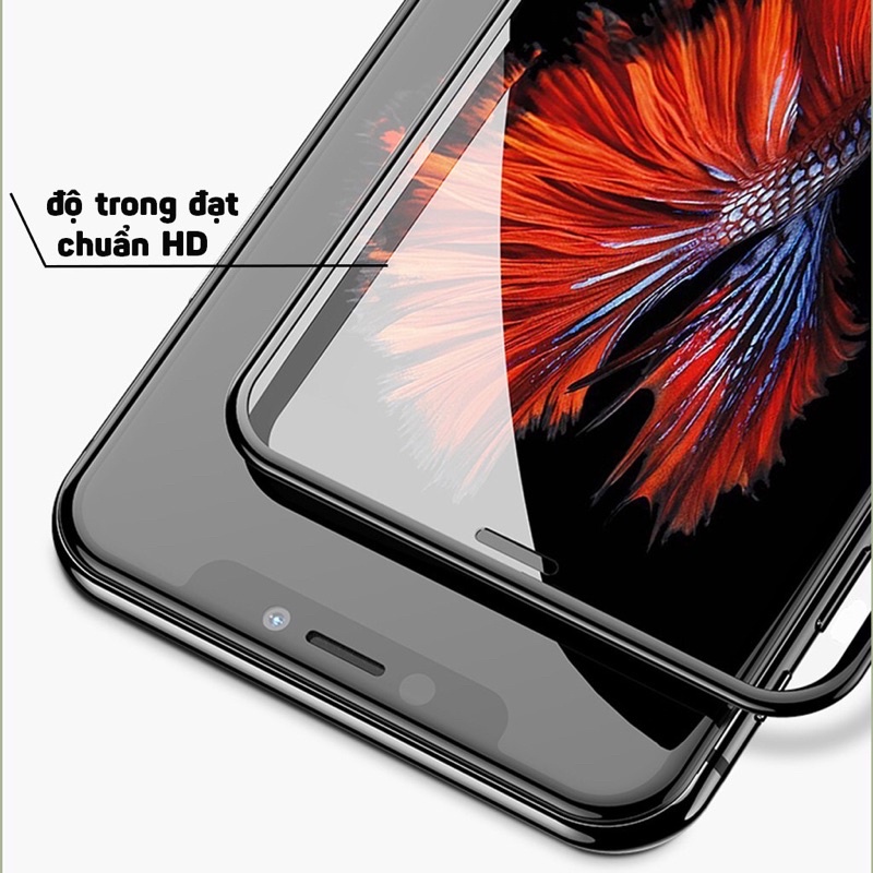 Kính Cường Lực iPhone Kingkong