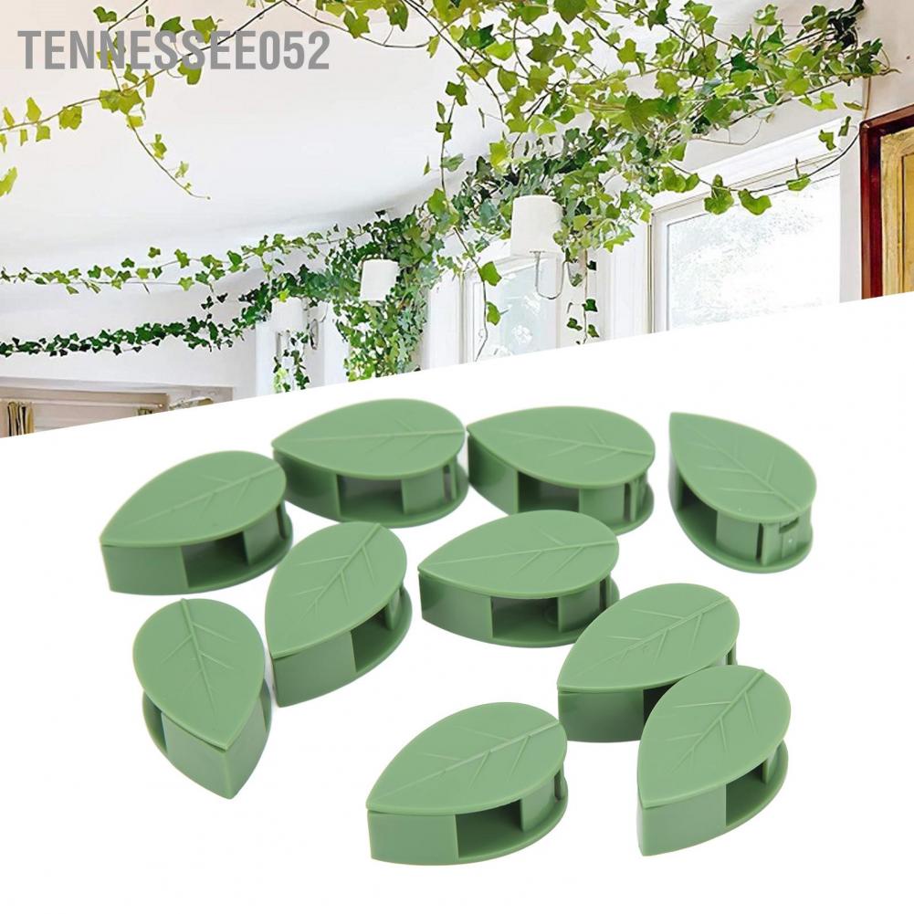 Tennessee052 100PCS Thực vật Leo tường Cố định Kẹp Tường Dây leo Clip Tự dính Móc treo Lực kéo