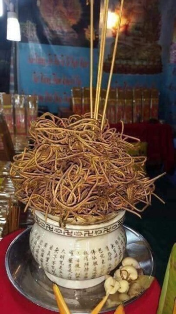 NHANG THẦN TÀI VOI THÁI LAN 79 CÂY | BigBuy360 - bigbuy360.vn