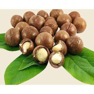 500Gr Hạt Macca Nứt Vỏ Tự Nhiên