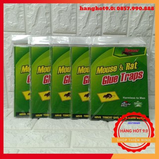 Combo 10 miếng dính chuột cao cấp